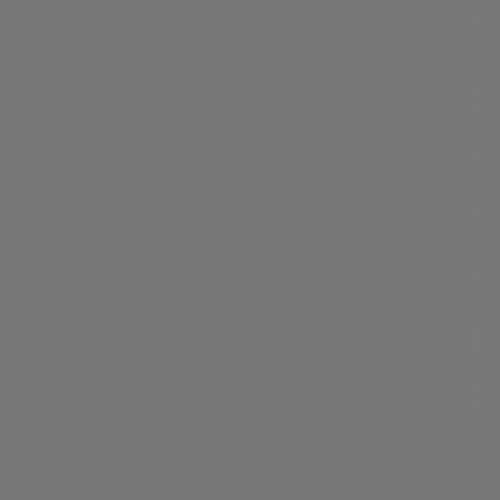 Rust-Oleum Professional Spray Primer - 12 oz Pack - DIY Builder's Hub