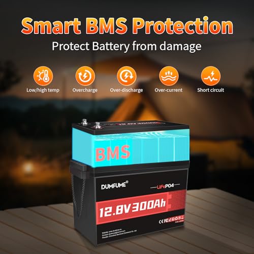 300Ah LiFePO4 Lithium Battery with 200A BMS for Solar & RV - DIY Builder's Hub