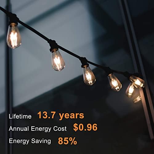 Dimmable Vintage Edison Bulbs - Elegant Lighting Solution - DIY Builder's Hub