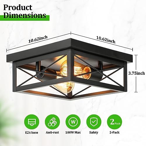 Industrial 2-Light Flush Mount Ceiling Fixture - DIY Builder's Hub