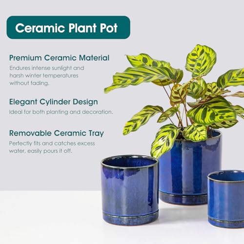 Vancasso 3-Piece Ceramic Plant Pot Set for Elegant Decor - DIY Builder's Hub