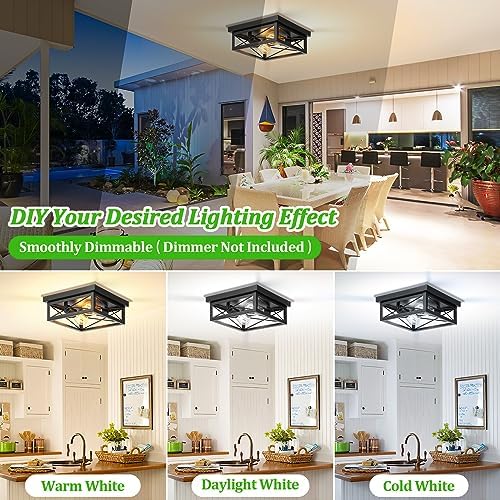 Industrial 2-Light Flush Mount Ceiling Fixture - DIY Builder's Hub