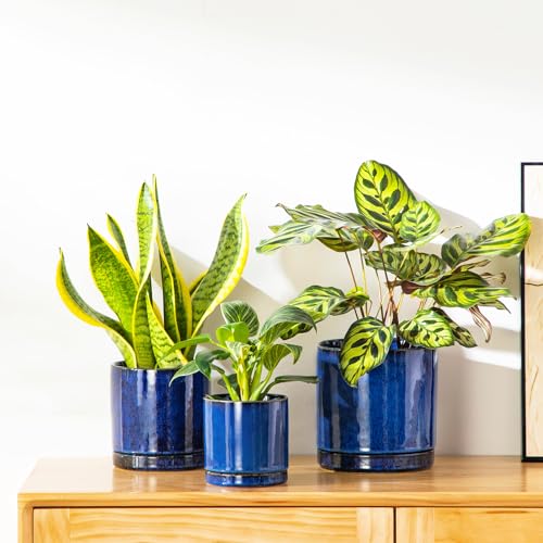Vancasso 3-Piece Ceramic Plant Pot Set for Elegant Decor - DIY Builder's Hub